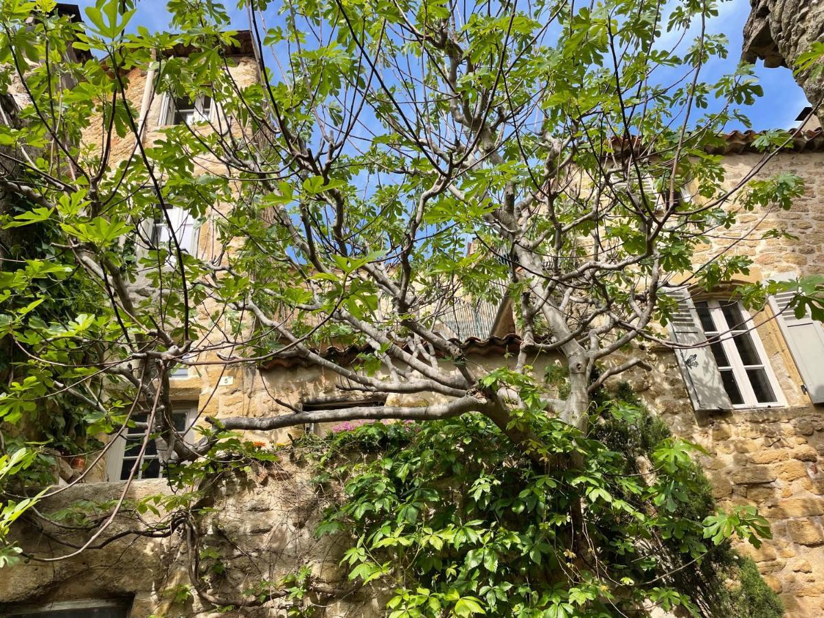 Le Petit Egregore, Patio Et Climatisation Lauris Exterior foto